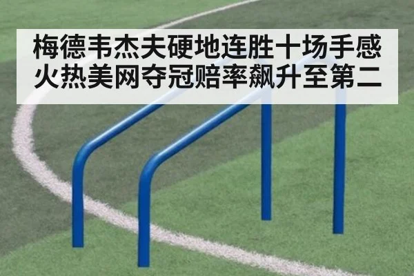 梅德韦杰夫硬地连胜十场手感火热美网夺冠赔率飙升至第二